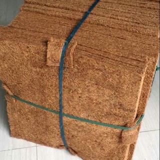 THẢM XƠ DỪA