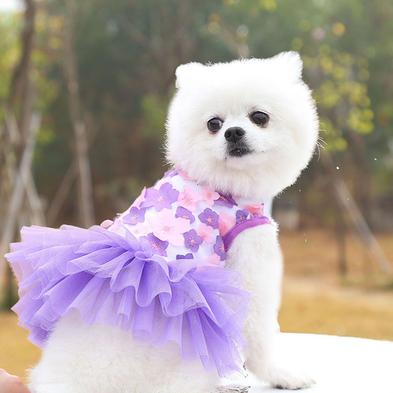 Đầm Công Chúa Xuân Hè Bằng Cotton Nguyên Chất Phối Ren Thoải Mái Hợp Thời Trang Cho Thú Cưng