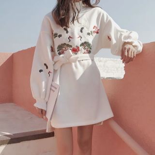 Áo hodie nỉ thêu