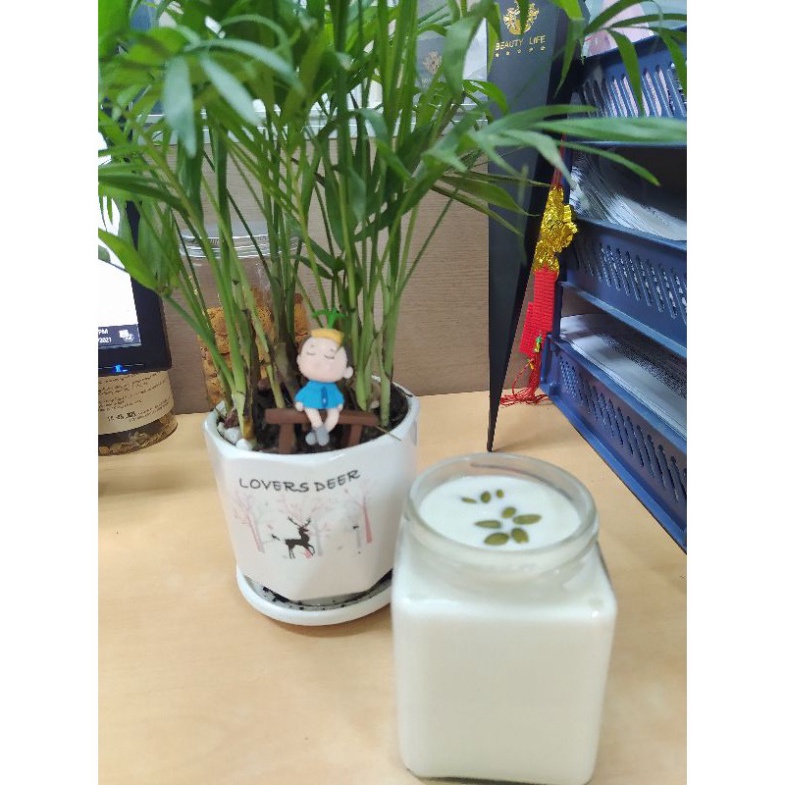 Men Sữa Chua Thuần Chay - 5gr