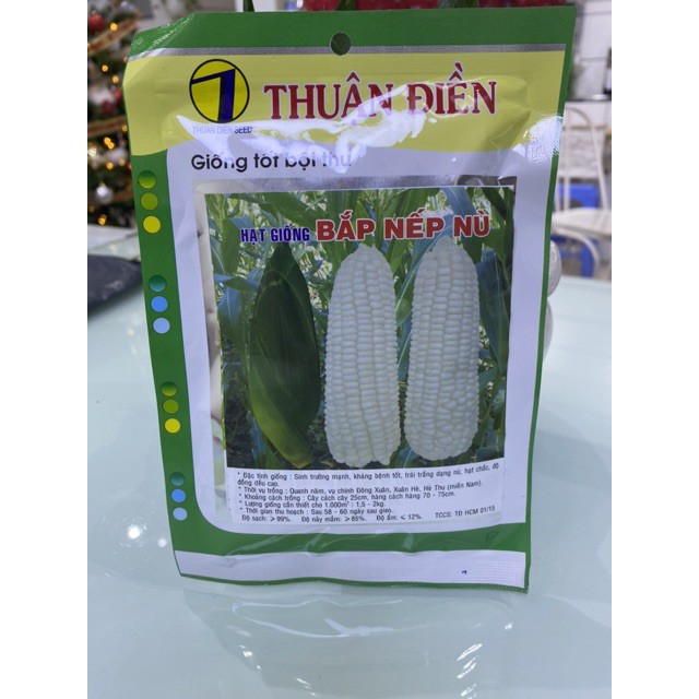 Hạt giống bắp nếp nù gói 100g giá rẻ