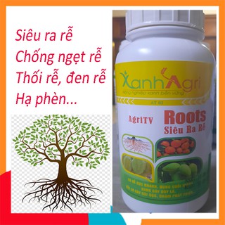Phân bón dưỡng rễ kích cho hoa hồng cây kiểng cây ăn trái cây còi cọc