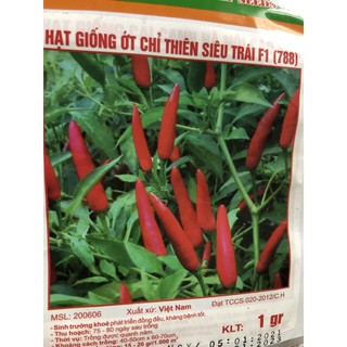 Hạt giống ớt chỉ thiên Mix ☘️