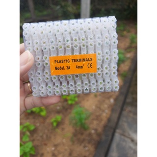 Domino nhựa lốc 10 cây