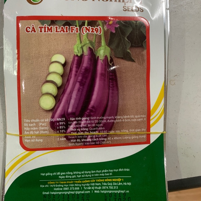 Hạt giống Cà tím lai quả dài - cây giống cà tím