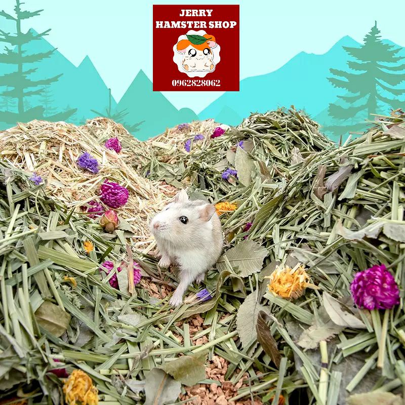 [Niteangel]Tổng hợp cảnh quan thiên nhiên cho hamster