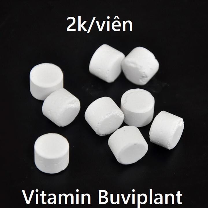 Vitamin Dinh Dưỡng Và Cho Cây - Hoa (Gói 100V)