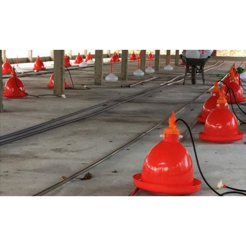 Máng chuông to cho gia cầm