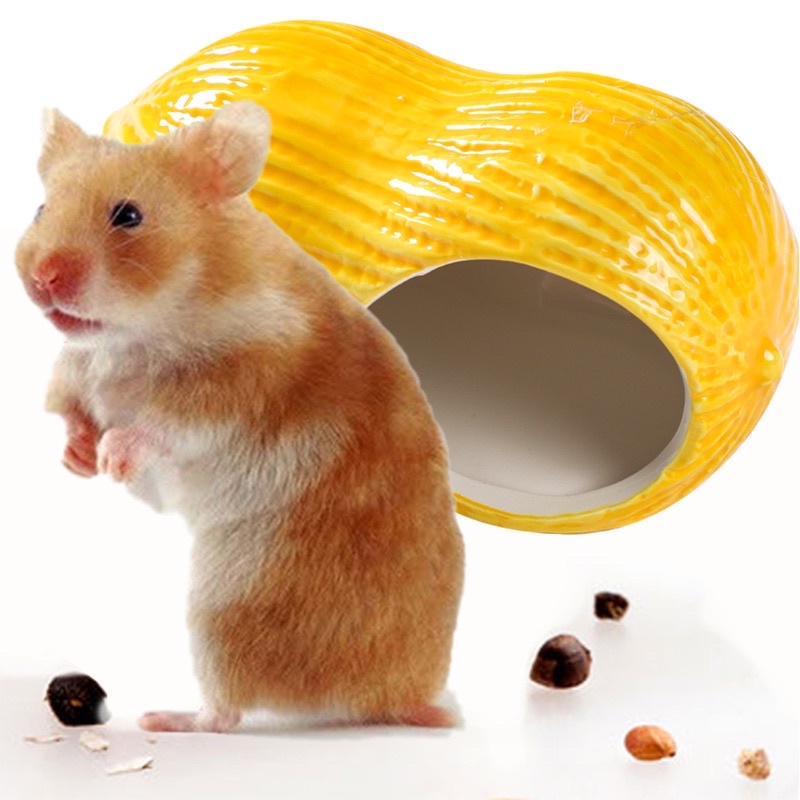 Nhà ngủ sứ đậu phộng cho hamster. Nhà sứ cho hamster