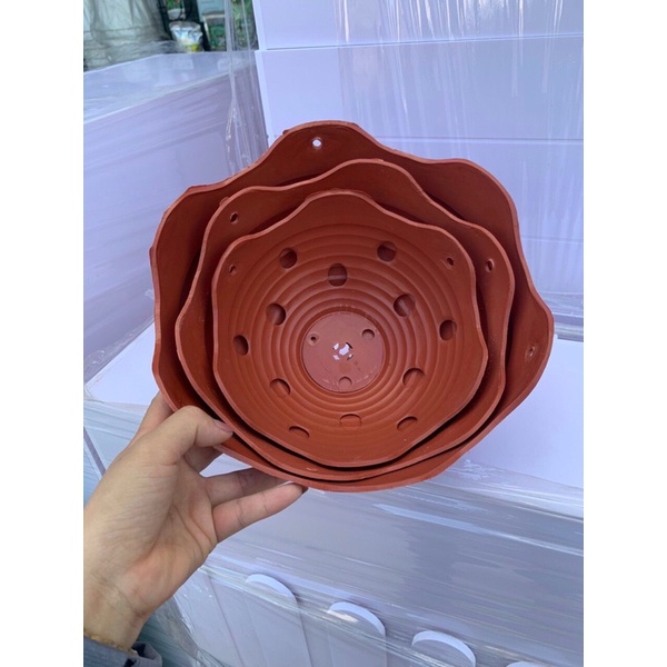 ❌ GIẢ GỐM LƯỢN SÓNG hàng đẹp   đủ sezi