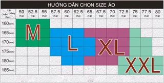 Áo thun Nam có cổ