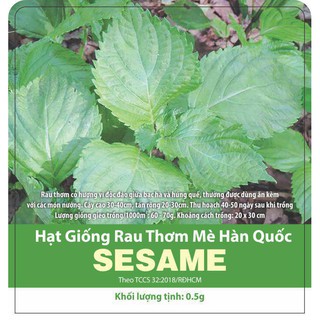 Hạt giống rau thơm mè Hàn Quốc Sesame