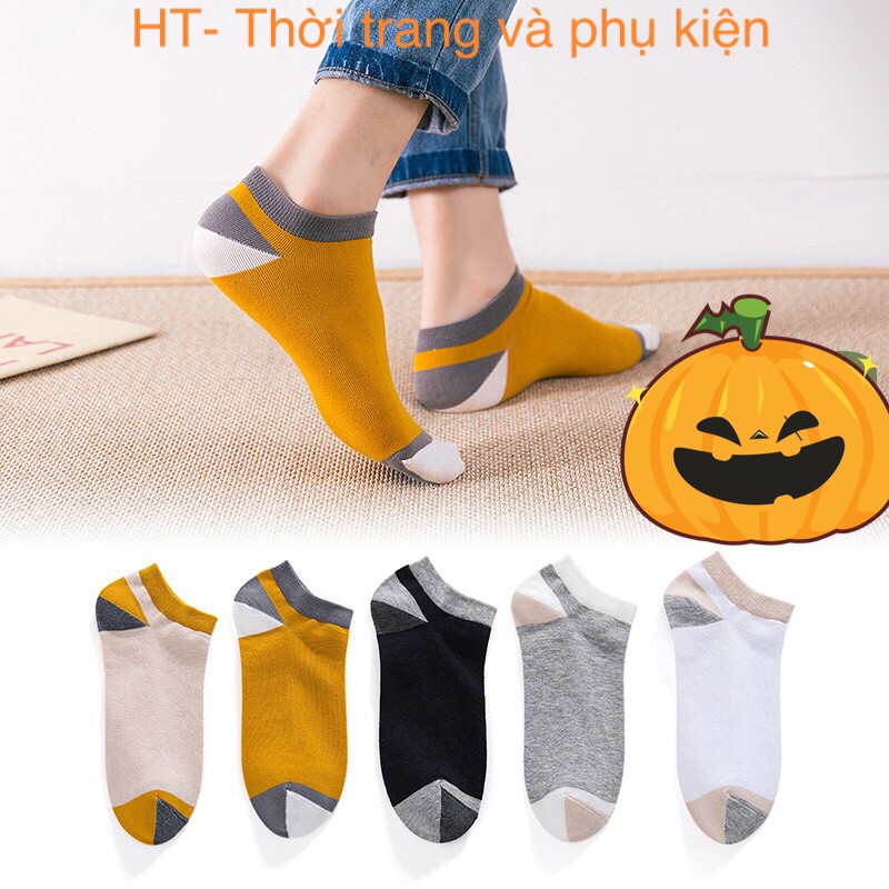 Combo 5 Đôi Tất Cao cấp Dệt kim Bốn mùa Cổ thấp Co giãn Freesize Khử mùi hôi hiệu quả