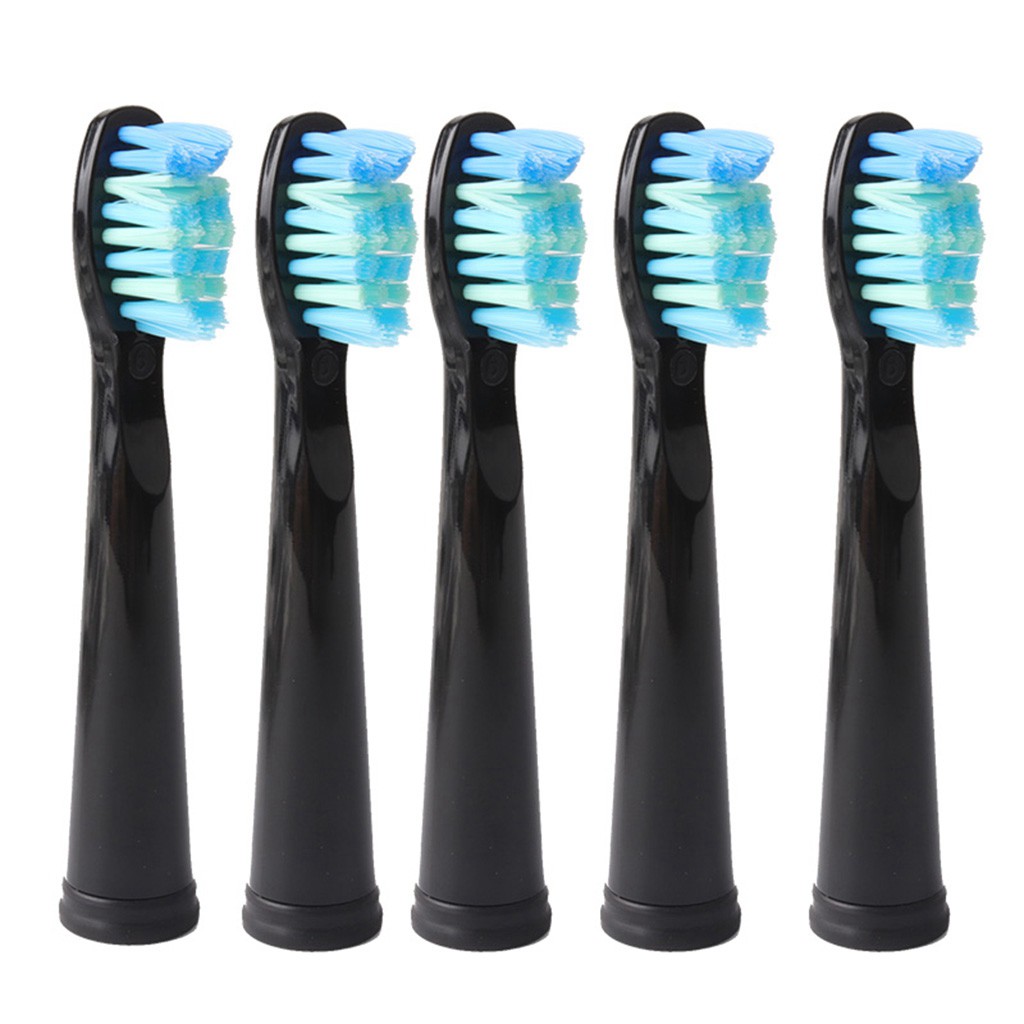 Bộ 5 đầu thay thế bàn chải đánh răng điện Sonic tiện dụng