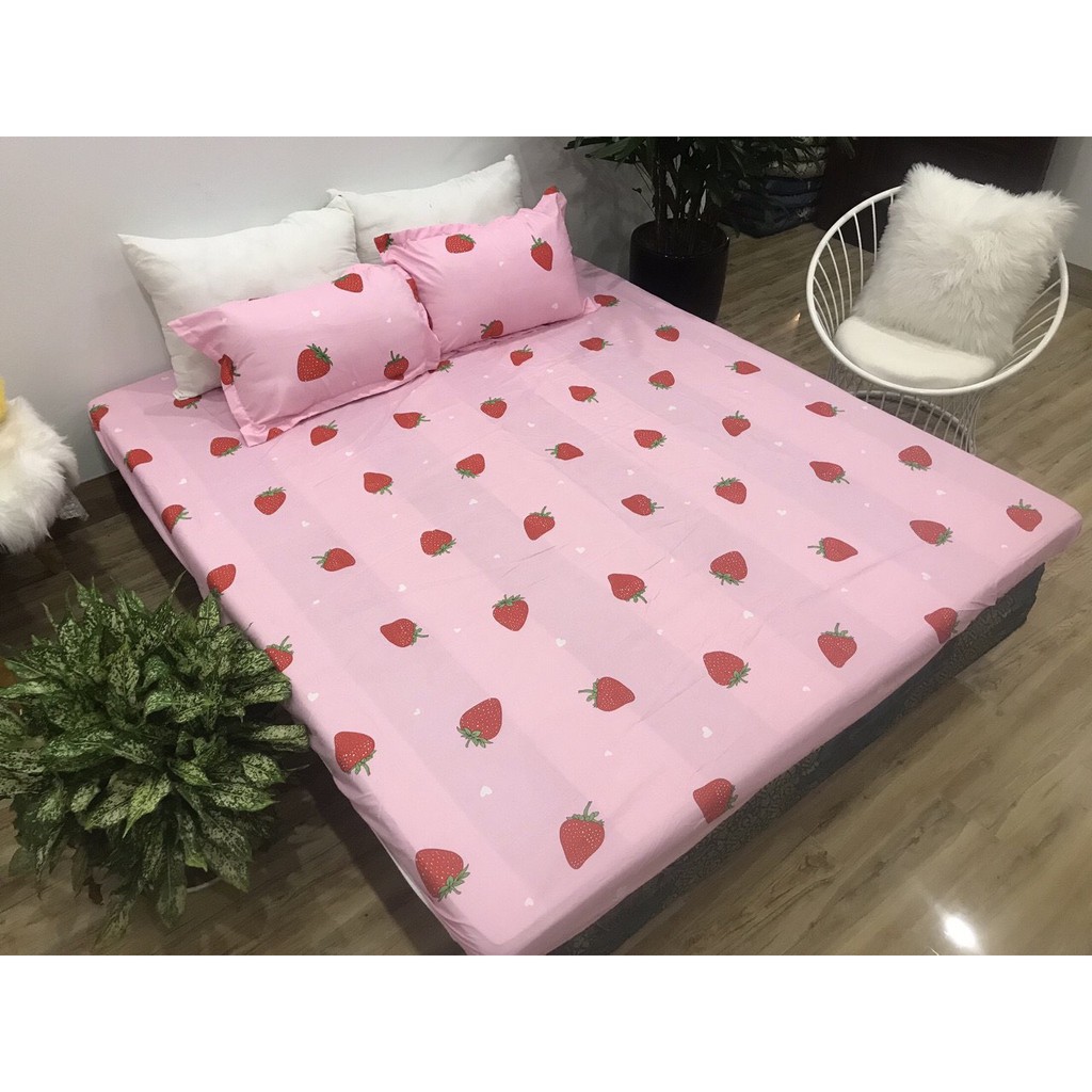 Xả kho Ga Gối Cotton Poly Giá sốc chọn mẫu kích thước thoải mái | BigBuy360 - bigbuy360.vn