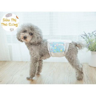 Tả dành cho bé trai cún ( chó mèo ) bịch 10 miếng