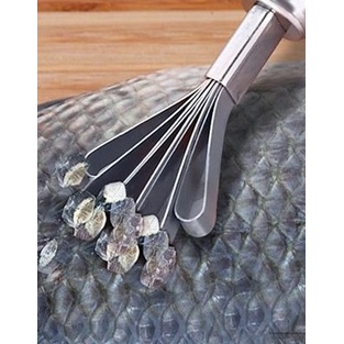 Dụng Cụ Bào Vỏ Dừa Đa Năng Bằng Thép Không Gỉ 430