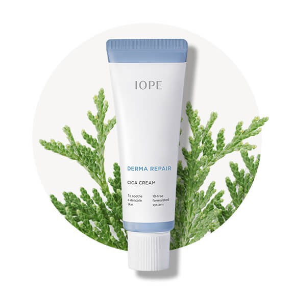 Kem dưỡng ẩm cho da nhạy cảm và da mụn IOPE Derma Cica Cream 5ml