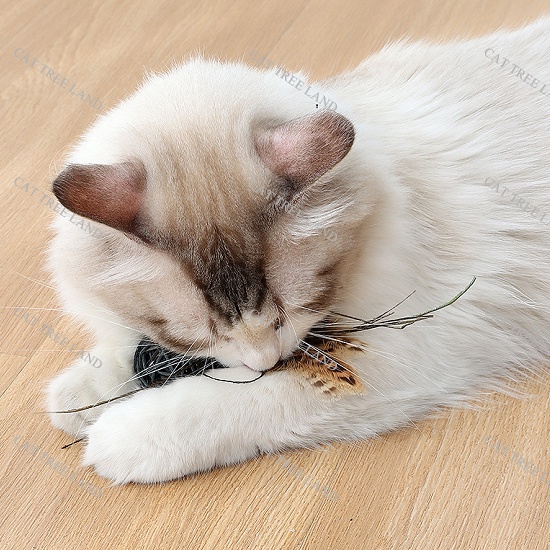 ĐỒ CHƠI CHÓ MÈO VỜN BẮT, BÓNG ĐAN BẰNG MÂY CÓ LÔNG VŨ,CHUÔNG LỤC LẠC