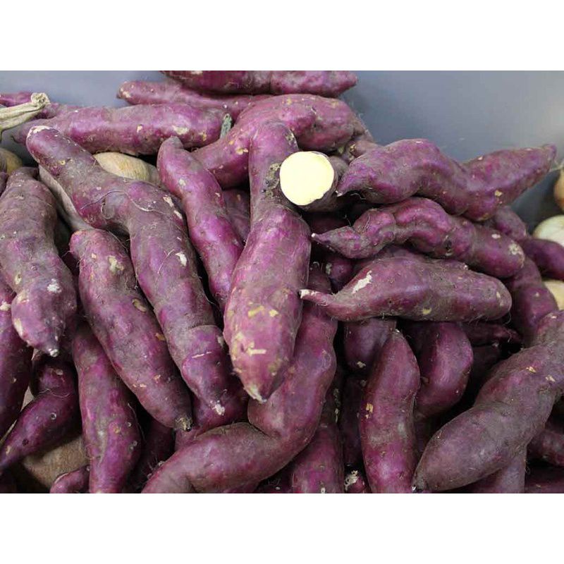 KHOAI LANG NHẬT SIZE TRUNG