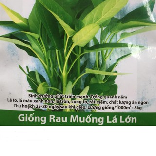 Hạt Giống Rau Muống Lá Lớn Dễ Trồng, Năng Suất Cao 50gr