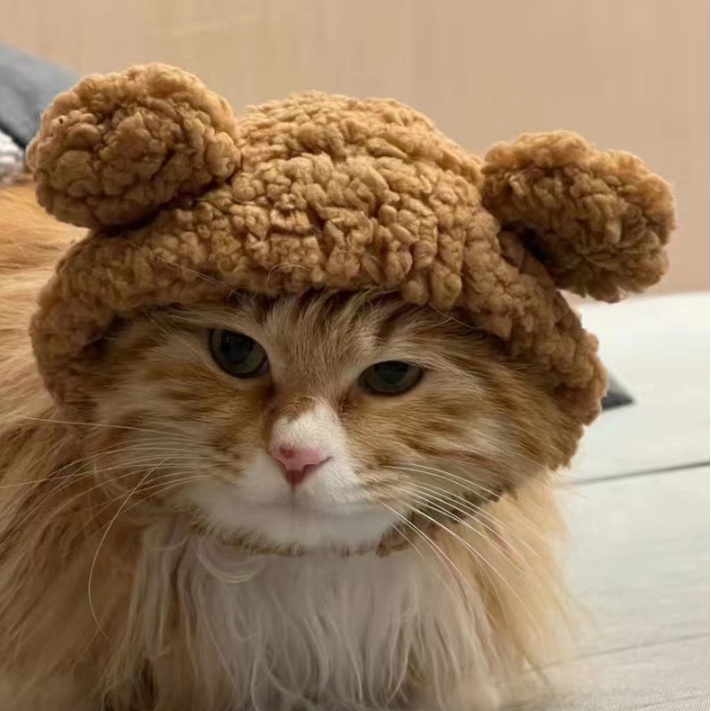 Mũ Lông Giữ Ấm Tai Gấu Vui Nhộn Hóa Trang Giáng Sinh / Halloween Cho Thú Cưng