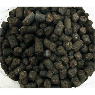 Cốt Nền Thủy Sinh Magic Base