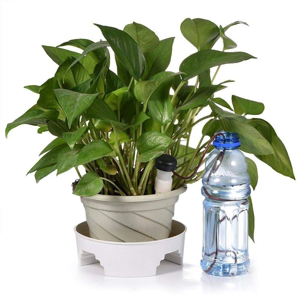 Set 2 dụng cụ tưới nước nhỏ giọt tự động cho cây trồng trong nhà