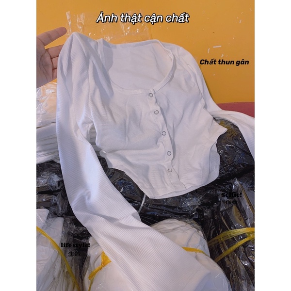 Áo Croptop nữ Body dài tay Thun Gân YUMI BÁN SỈ Áo croptop Nút Bấm Vạt Nhọn Hot Trendy