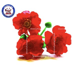 Combo 1000g Hoa đào đỏ chùm độc lạ-hiếm kèm nụ, lá, kẽm