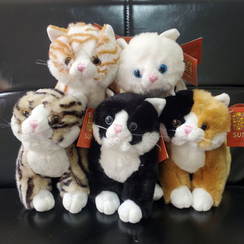 Gấu Bông Mèo Cưng Kitten Dễ Thương Búp Bê Thú Nhồi Bông  Quà Sinh Nhật MIRA-GB28022