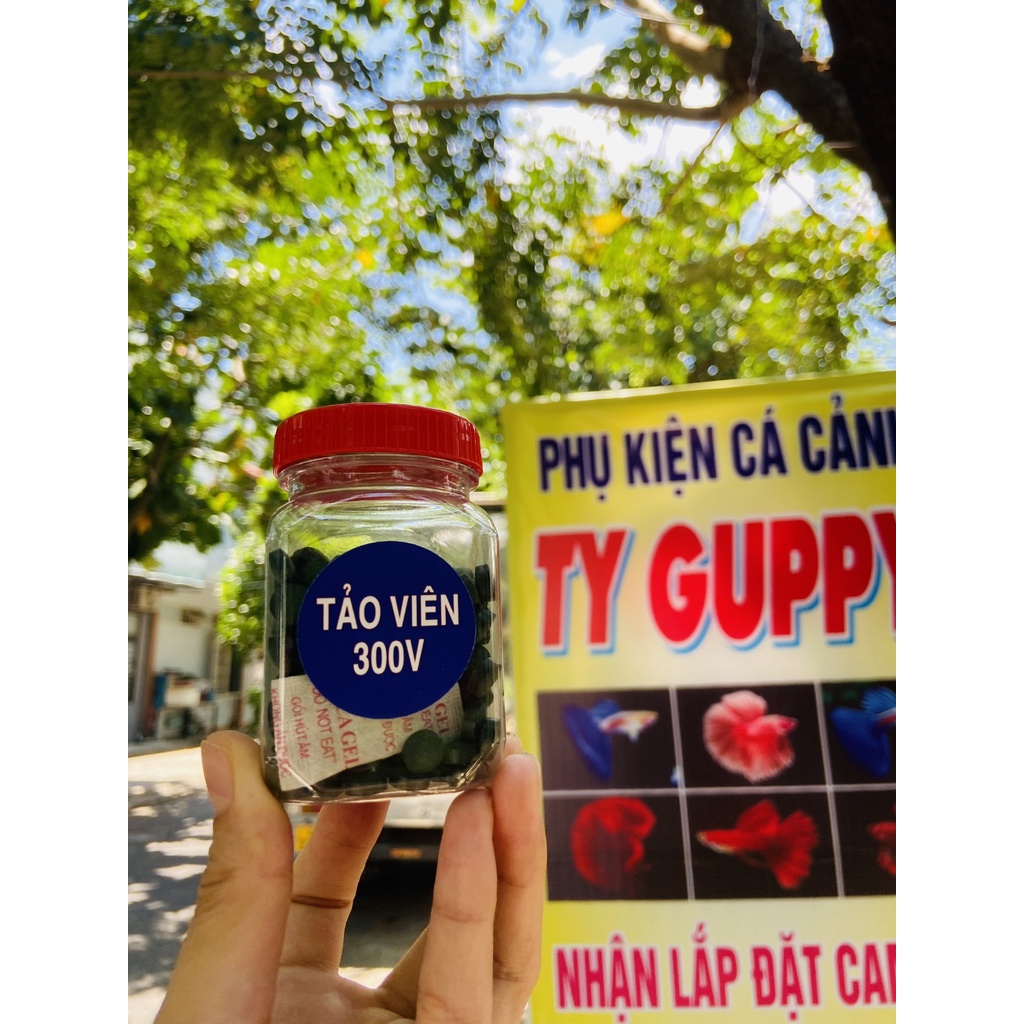 Tảo Viên - Thức Ăn Nuôi Artemia Cá Tép Cảnh 50G-100G