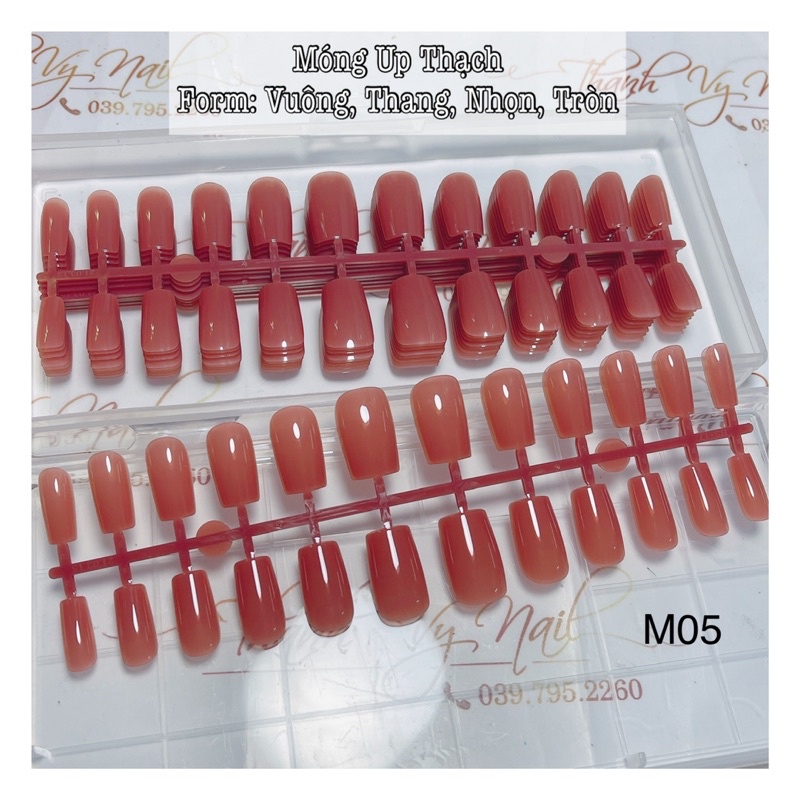 Móng Up Màu Thạch, Móng Dán Sơn Sẵn [Thanh Vy Nail]