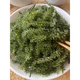 Rong nho tươi