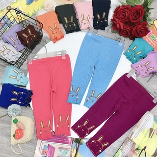 quần legging cho bé.