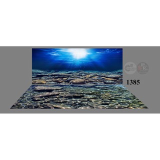 Tranh bộ 3D ( gồm lưng và đáy) dán bể cá 3d nhiều kích thướt chọn lựa ( 60x40, 80x40, 80x50 , 90x50, 100x50...)