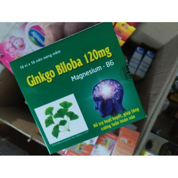 Ginkgo Biloba 120mg Bổ Sung Dưỡng Chất Cho Não Q10 100 viên