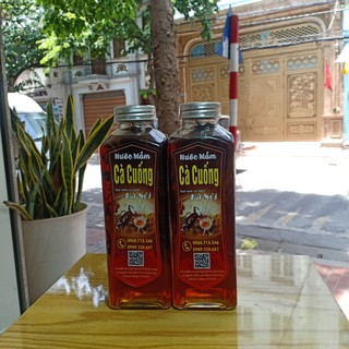 Nước mắm Cà cuống - loại 10 con - 500ml hảo hạng biếu tặng