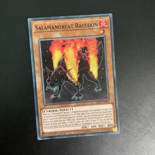 Bài yugioh: salamangreat raccoon