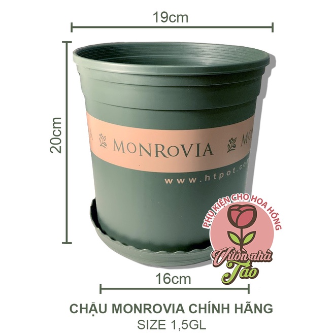 Chậu Monrovia nhập khẩu[ size 1gl-1,5gl-2gl] Kèm đĩa lót