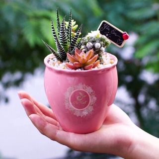 Bảng đen mini trang trí tiểu cảnh