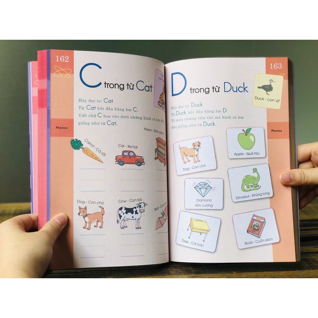 Sách Braint Quest Workbook Pre K - Bài Tập Song Ngữ Anh - Việt, Luyện kiến thức và tư duy cho trẻ ( 4 - 5 tuổi )