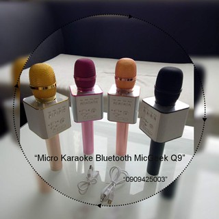 Micro Karaoke Bluetooth MicGeek Q9