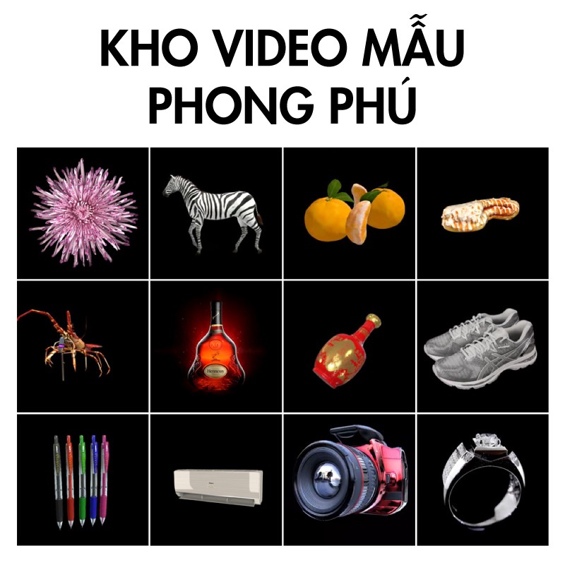 Quạt đèn led 3D Hologram X50 Hiển thị LED hình ảnh ba chiều | Hình ảnh led 3D độc đáo dể tải lên bằng App