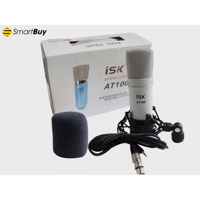 mic hát livestrym At100 hoa vinh