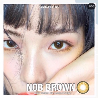 Lens Nob brown