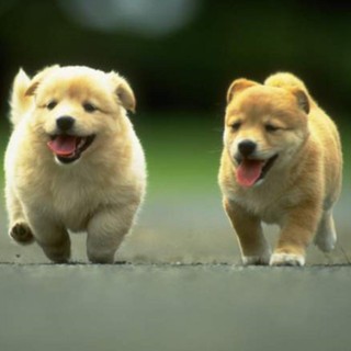 baochau_store_171118