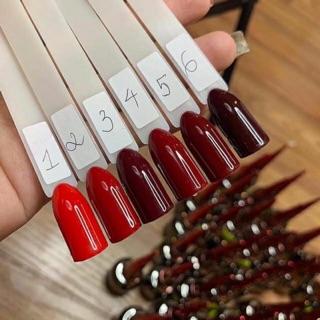 Sét Sơn gel mx bon