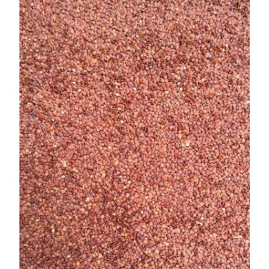 1kg Hạt đình lịch