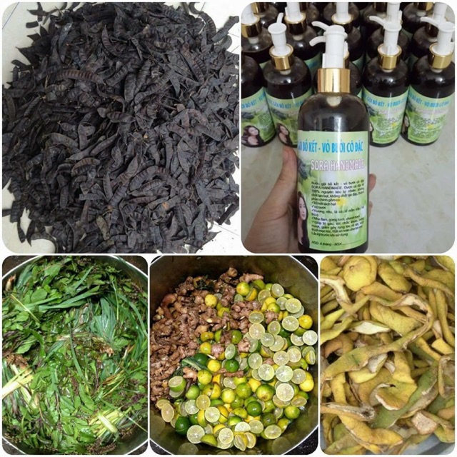 Dầu gội bồ kết - vỏ bưởi cô đặc 